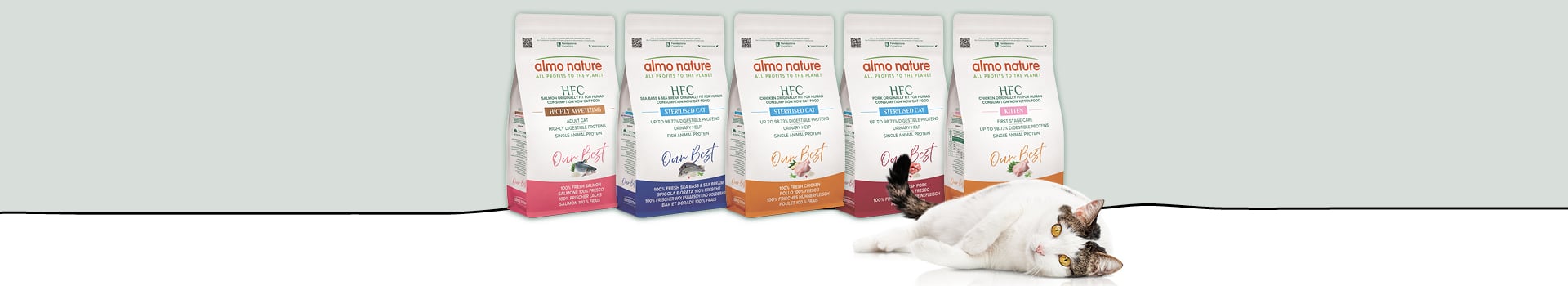 Cat Kibble Almo Nature 